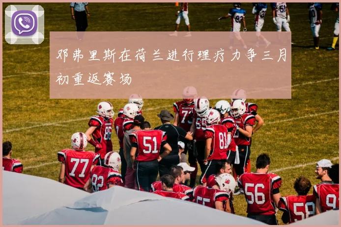 邓弗里斯在荷兰进行理疗力争三月初重返赛场