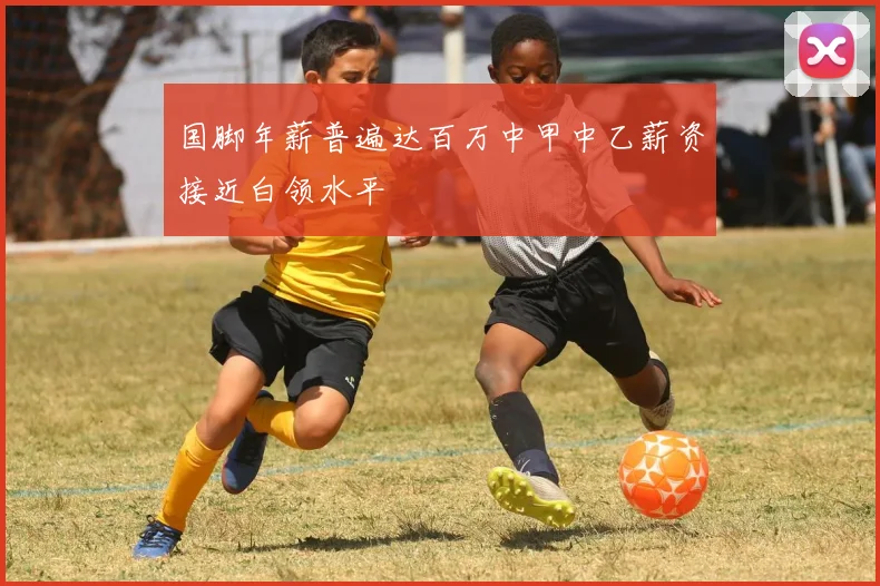 国脚年薪普遍达百万中甲中乙薪资接近白领水平