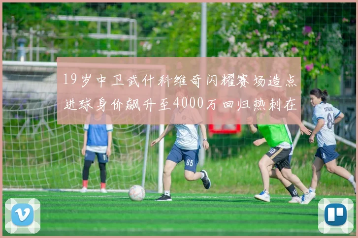19岁中卫武什科维奇闪耀赛场造点进球身价飙升至4000万回归热刺在即